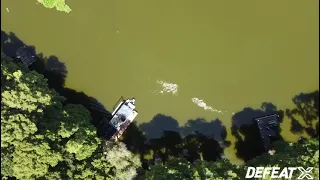 JC Defeats Alligator - Drone Video of Alligator Attack ORIGINAL