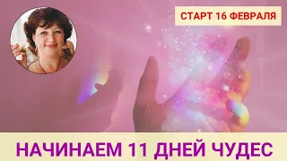 11 ДНЕЙ ЧУДЕС. Очищение организма. Ангельские Практики