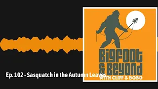 Ep. 102 - Sasquatch in the Autumn Leaves | Bigfoot and Beyond with Cliff and Bobo