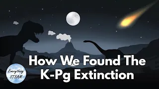 Brief History: The K-Pg Extinction