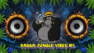 Ragga Jungle Drum & Bass Vibes #1 (Reggae DnB Mix)