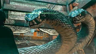 Two Head Big Snake | Hindi Voice Over | Film Explained in Hindi/Urdu Summarized हिन्दी | Sci-Fi