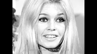 Brigitte Bardot, animal activist in 1966