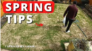 May Lawn Care Tips - Spring Grass Seeds Germinated?