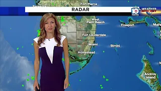 Local 10 News Weather Brief 06/11/21 Morning Edition