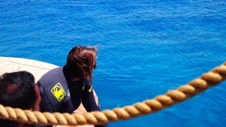 Dolphin Reef in Eilat ( Best Place for Dolphins )