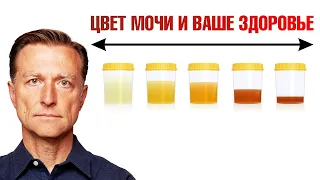 О чем говорит цвет мочи? Цвет мочи как индикатор здоровья🙌