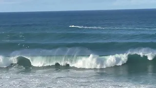 La Jolla Cove Big Wave Surf - Saturday Dec 30, 2023
