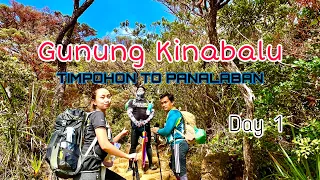 Cabaran Mendaki Gunung Kinabalu - Dari Timpohon Ke Panalaban (vlog Sabah) : Climbing Mount Kinabalu