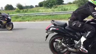 Suzuki Hayabusa  power wheelie