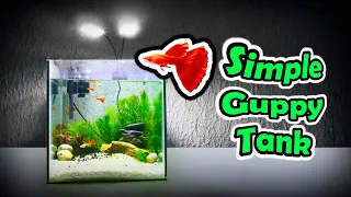SIMPLE GUPPY FISH TANK setup | Simple DIY for AFR Albino Full Red Guppy Tank Aquarium Setup