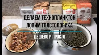 Тайны технопланктона на толстолобика. Как сделать. Правильный состав. Пропорции. Как работает в воде