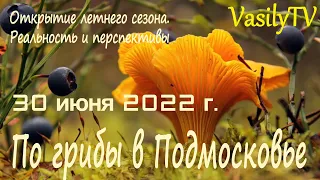 🌳По грибы в Подмосковье 30 июня 2022 г.🌳 Открытие летнего сезона. Реальность и перспективы