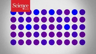 Are these dots purple or blue? Your answer might not be as reliable as you think