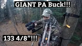 GIANT 130”+ Public Land PA Archery Buck - Self-Filmed - Ridge Raised Outdoors