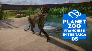 Planet Zoo S3 E5 - Ещё пара кошечек