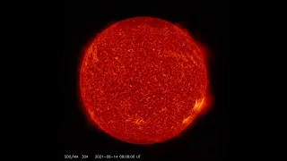 Timeline of the sun from SDO satellite at 304A - October 2021 to January 20 2022