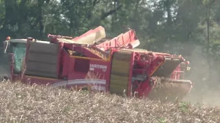 In freier Wildbahn gesichtet Grimme Varitron 470 Terra Trac beim ernten von stärke Kartoffeln