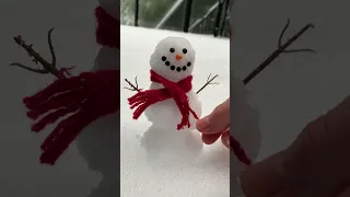 Mini Snowman - How to Build a REAL Tiny Snowman ❄⛄