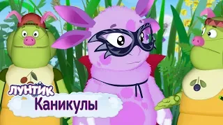 Каникулы ✨ Лунтик ✨ Сборник мультфильмов для детей