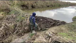 6 meters beaver dam. I am going to drain it.