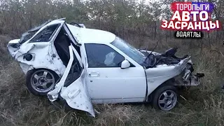 Приехали! Торопыги и Водятлы Осенний сезон