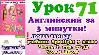 учебник Spotlight 2 класс стр. 42-43. Урок 71