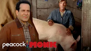 Monk And Randy Catch A Pig Killer | Monk