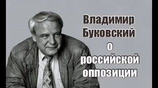 Владимир Буковский о российской оппозиции.