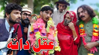 Aqal Dana | Pashto Funny |  Zalmi Vines