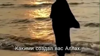 Любите себя такими ,Какими создал вас Аллах☆