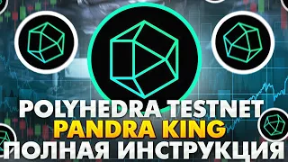 POLYHEDRA TESTNET. PANDRA KING. ПОЛНАЯ ИНСТРУКЦИЯ