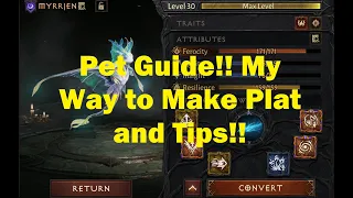 Pet Guide! Lets Make Some Plat!!