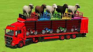 LOADING SHEEPS & TRANSPORTING YAMAHA BIKES WITH MAN TRUCK CHALLENGE - Farming Simulator 22