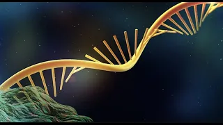 Single Cell RNA Sequencing vs. Bulk RNA Sequencing