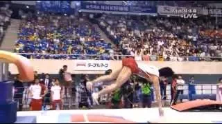 Kohei Uchimura AA VT 2015