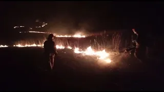 Ліквідація пожежі сухої трави в місті Дубно