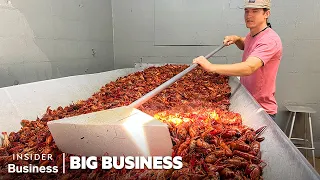 How A Louisiana Crawfish Company Harvests 60,000 pounds A Day | Big Business | Insider Business