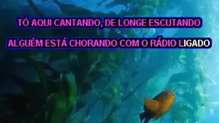 Saudade de Minha Terra  -2 Tons Chitaozinho e Xororo Karaoke