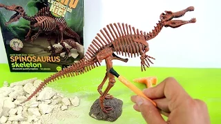 Dinosaur toy skeleton fossil excavation | Esqueleto de dinosaurio juguete para excavar | 玩具恐龍 - 1/7