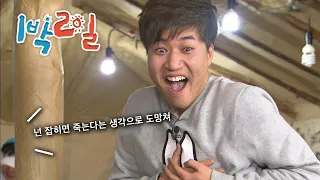 [1박2일 시즌1 232회-1][전북정읍] 항복따윈 없어 | KBS 120226 방송