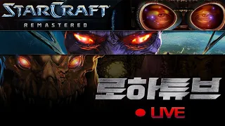 [ 로하튜브 LIVE ] 스타팀플 헌터 3:3 개념방 버스 야간방송 / 마우스 미니옵으로 바꿈..🎮 [ 2023-04-27(목) ] LoHaTube StarCraft