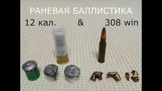 Раневая баллистика 12 калибр v.s. 308 Win и выстрелы по зверю