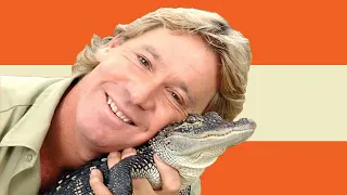 Steve Irwin wrestles a crocodile with love and care