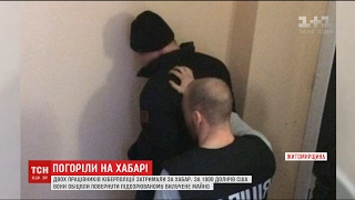 На Житомирщині 2 майорів кіберполіції затримали за хабар