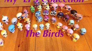 My Update LPS Collection - The Birds