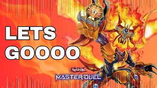 SALAMANGREAT IN THE CURRENT FORMAT - Master Duel Season 25