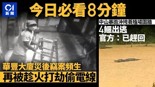 #今日新聞 香港 華豐大廈火後亂象頻生再被偷電線｜中山暴雨勁到沖垮養殖場圍牆　4條鱷魚出逃｜01新聞｜車cam｜閉路電視｜搶包山｜深圳樓｜楊潤雄｜ 2024年5月5日   #hongkongnews