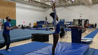 Section 6AA Gymnastics Highlights