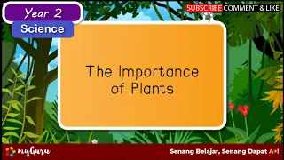 Year 2 | Science | The Importance of Plants